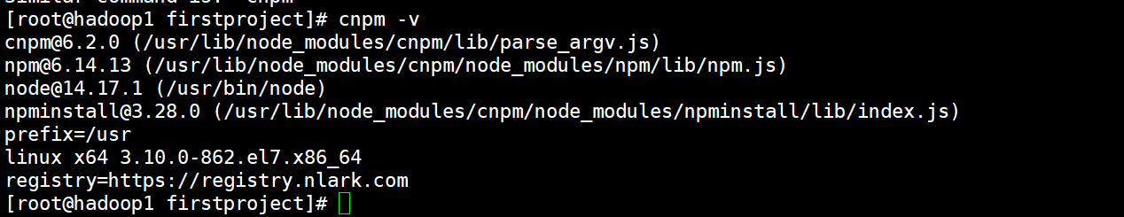 setup cnpm