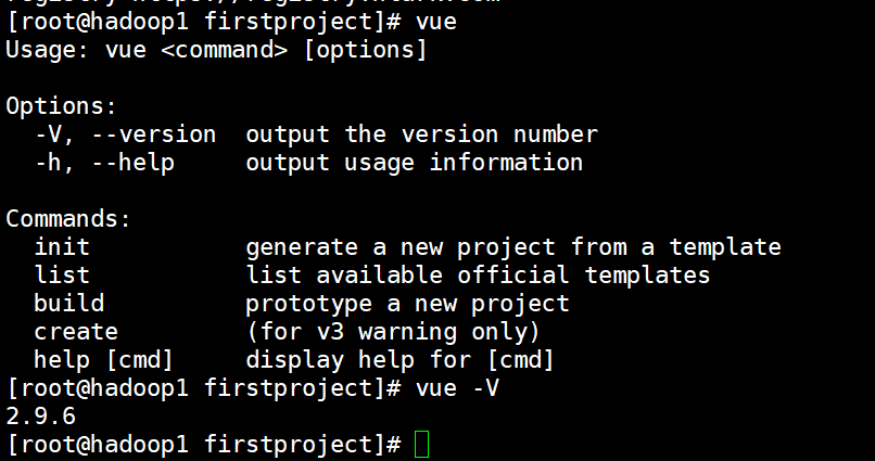 setup vue-cli